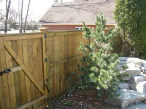 Stained wood fence