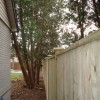 Windsor privacy fence