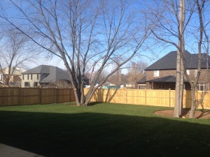 Sienna Scalloped fence