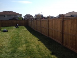Sienna pressure treated scalloped fence in lasalle